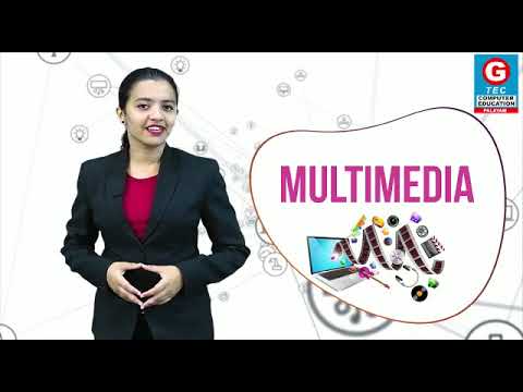 Best career courses | Accounting | Multimedia | Programming | Networking | G-TEC Palayam