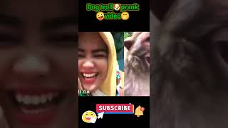 Dog🐶troll prank video🥰 part 14😃#funny#sorting #dogprank #comedy #fake #dogtraining #cat#dogtricks
