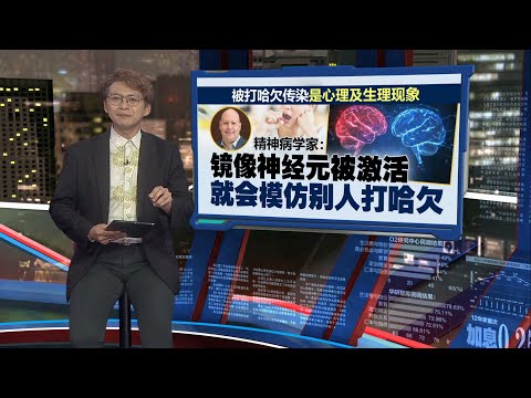属于心理及生理现象   精神病学家：打哈欠会“传染” | 新闻报报看 03/05/2025