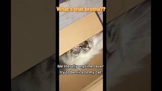 Every time 😭😭 #cat #petlife #viral