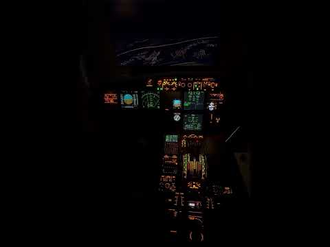 AIRBUS A320 INSTRUMET LANDING #airbus #aeroplane #viral #video #boeing  #trending #travel #trend