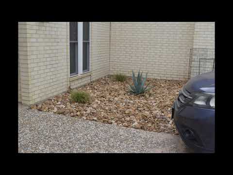 Landscaping Ninja's: Miriam