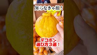 見逃さないで❗️デコポンの見分け方３選！  #八百屋 #フルーツ  #デコポン  #shortsfood