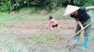 越南老婆今天去地里除草，带你了解越南农村人.đi làm cỏ vườn.