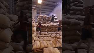 Niche Cocoa Industry goes through 2 tons of their product every hour. #Ghana #cocoa #chocolate