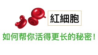 让红细胞”年轻化” 的6大要點