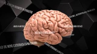 Codrin - Forme (Official Lyric Video)