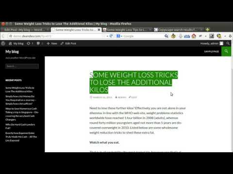 Wordpress Auto Spinner Version 3