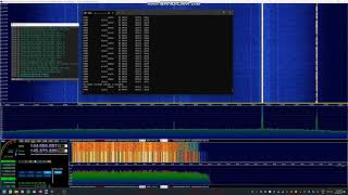 DMR reception via RTLSDR