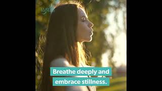 Moments of Reflection: Reset with Lubyc