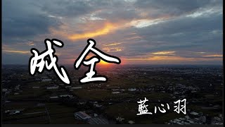 成全-蓝心羽（原唱-刘若英）「我對妳付出的青春這麼多年換來了一句 謝謝你的成全」【動態歌詞Lyrics】#超好听 #music #lyrics