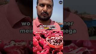 How to Export Onion | Onion auction #hiiem