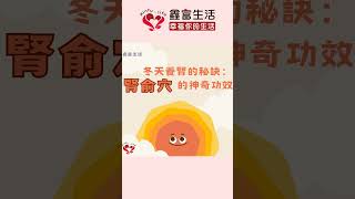 冬季養腎祕笈：腎俞穴的神奇功效 #健康生活 #穴位按摩 #自然療法 #腎俞穴 #冬季養生 #鑫富生活 #舒緩腰痛 #血液循環 #養腎祕笈 #改善腹痛與腹瀉