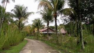 Amazon Hideout: Leticia, Colombia