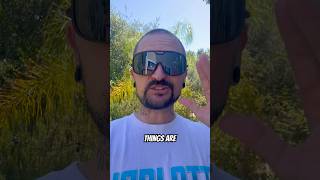 BEST NEW ULTRALIGHT SUNGLASSES FOR BACKPACKING?? & ANYTHING ELSE? Link below to purchase :) #Shorts