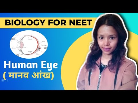 Human Eye structure and function | Part of  eye | #science | #neet | #biology | #education