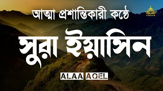 প্রতিদিন সকাল বেলায় শুনুন সূরা ইয়াসীন | SURAH YASEEN | Most Beautiful Reaction Of Surah Yaseen