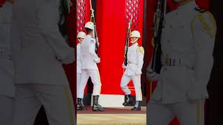 #海軍儀隊 #三軍儀隊 #禮兵交接 #海軍#honorguards