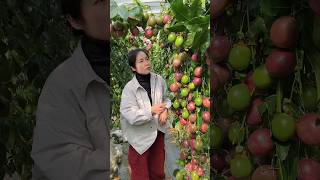 Fresh,and juicy fruits#shorts#fruit#ep466