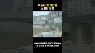 지금 보면 너무 감사한 성룡 영화 #성룡 #제키첸 #Jackie Chan