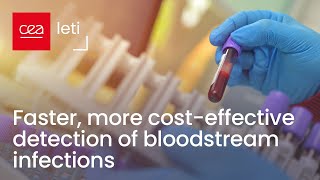 Breakthrough: Faster, more cost effective detection of bloodstream infections | CEA-Leti
