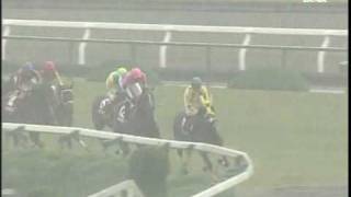 京都ハイジャンプ 2006年 スプリングゲント