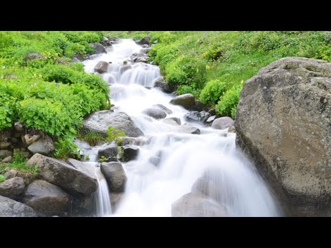 Natural water sounds, sound of water flowing... #water#relaxingsound#relaxingsoundsforanxiety#nature