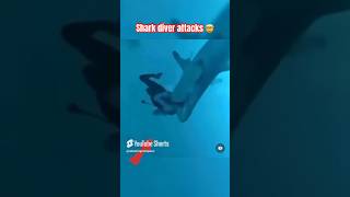 Shark Attack Caught on Camera – Diver's Lucky Escape! 😨 #shorts #ocean