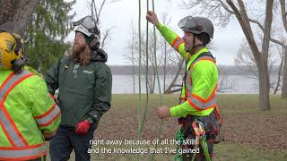 Urban Forestry - Arboriculture | Ryan's Experience