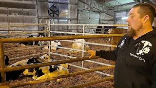 R4D best practice - 68. Cow-calf contact system