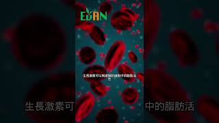 生長激素是一種由腦下垂體分泌的激素對於降低脂肪含量等具有重要作用#艾門享受健康計畫 #飲食計畫 #減肥 #瘦身 #健康  #蔬果漾 #優菌多 #亮妍肌漾