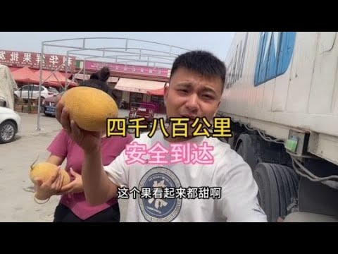 4800公里（四天四夜）到達阿克蘇，在庫爾勒又遇到沙塵暴#意想不到的结局 #货车 #货车司机 #一定要看到最后