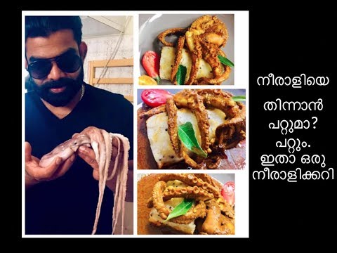 #Kappa&Neerali. Octopus #Curry