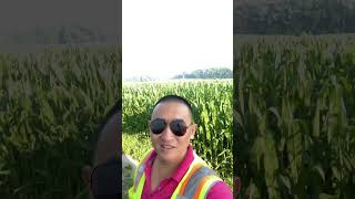 #truck #truckdriver #美国 #卡车 #美国生活 #truckdriverjobs #trucking #卡车司机 #农场