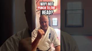 Kyokushin Karate: Why Don’t You Punch to the Face? #karate #shorts #shortvideo #short #thephoenixway