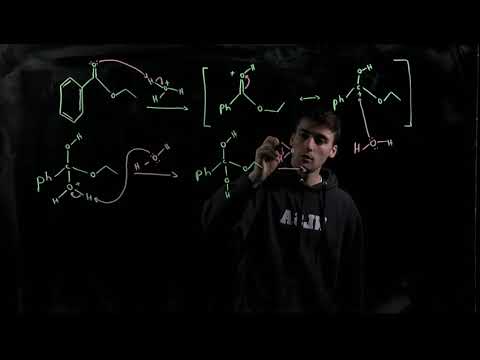 Reverse Fischer Mechanism Problem (CHM 112)