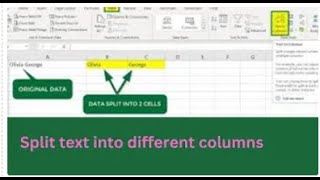 How to Split text into different columns