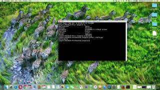 Complete Python Course from Basics to Brilliance in HD (Run Python Program File in Terminal)