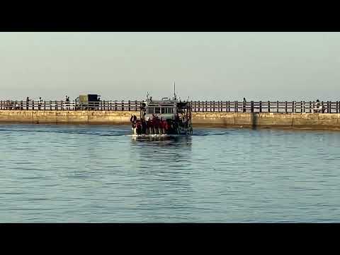 海山漁港隨拍影片 part 2