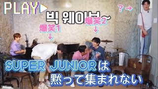 【SJ日本語字幕】エリーゼのシンドン〈SJ returns〉