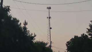 2008-Built Verizon Cell Tower in Mt Carmel at dusk and night
