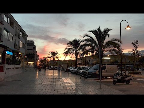VLOG #050 - NO LEASH