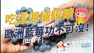 吃這個補眼睛。歐洲藍莓(山桑子)功不可沒！｜MEDBRING美特健康｜【美特來聊聊EP09】