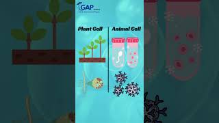Master Biology Concepts | Subjective Exam Tips & Tricks 🧠📚 #shorts  #bilogy#onlinelearning#trending