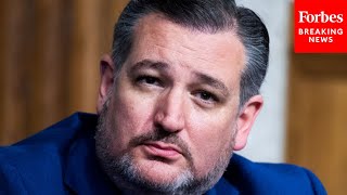 Ted Cruz Slams "Gun Free Zones" During Senate Red Flag Law Hearing