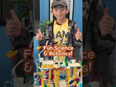 Engage Your Child in Fun and Educational STEM Activities After School at STEMTREE