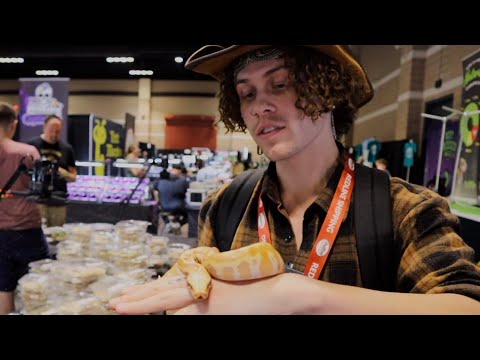 Blood python! My new snake bit me!!