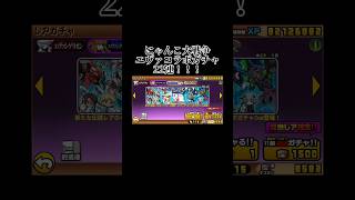 にゃんこ大戦争エヴァコラボガチャ22連！！超激レア5体？！#にゃんこ大戦争 #games #gamesshorts #shorts