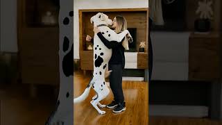 the best couple beautiful girle #cut #dog #puppy #doglife #dance #drawing  #lovedog #lovestatus#love