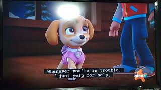 PAW PATROL BEST OF SKYE 🐶🐾